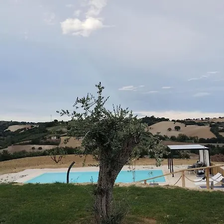 Casal Del Sole - Il Girasole Montefelcino
